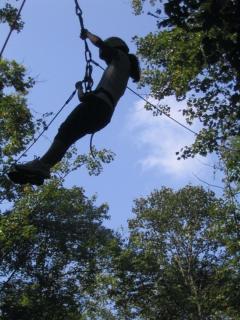 IMG_3388.jpg