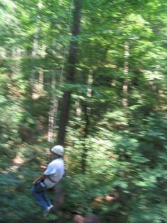 IMG_3393.jpg