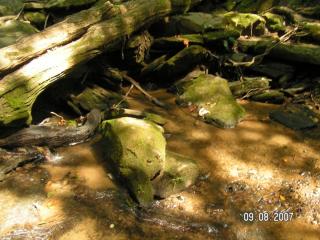 PICT0038.JPG