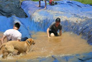 IMG_2970.JPG