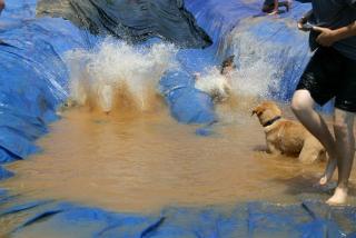 IMG_2972.JPG
