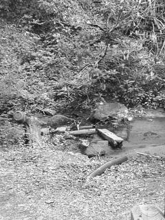 S4011244.JPG