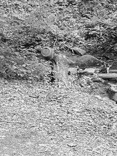 S4011245.JPG