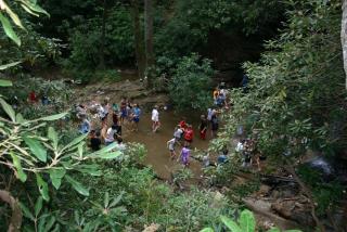 IMG_4368.JPG