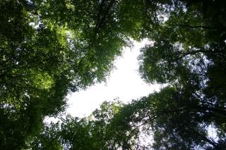 IMG_5939.JPG