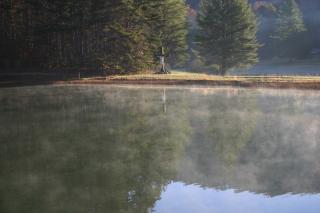 IMG_6385.jpg