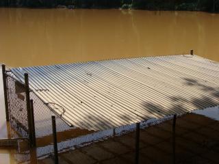 DSC00505.JPG