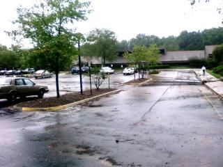PIC-0186.jpg