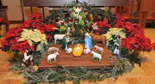 SJN Manger 2011.jpg