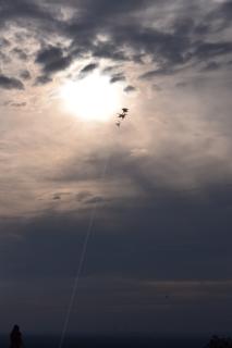 DSC_0010.jpg