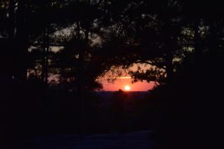 DSC_0047.jpg