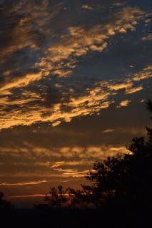 DSC_0053.jpg