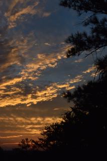 DSC_0055.jpg