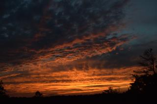 DSC_0056.jpg