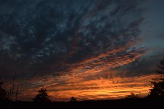 DSC_0057.jpg