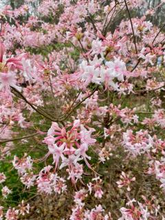IMG_5660.jpeg