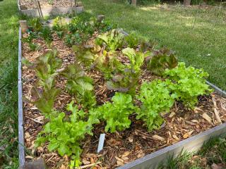 IMG_6033.jpeg