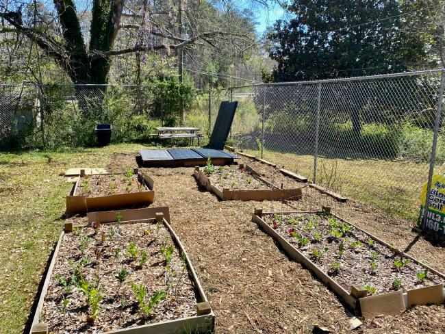 2023-03-18 - SVdP garden.jpeg