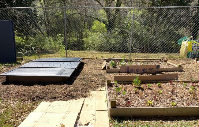 2023-03-18 -SVdP Garden in process.jpeg